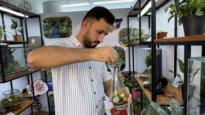 “تراريوم” تنتشر في العراق.. غابة زجاجية تعيش مع الحشرات بلا ماء لسنين