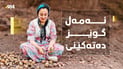 ئەمەل بووە بە شەنیار و گوێز دەتەکێنێ