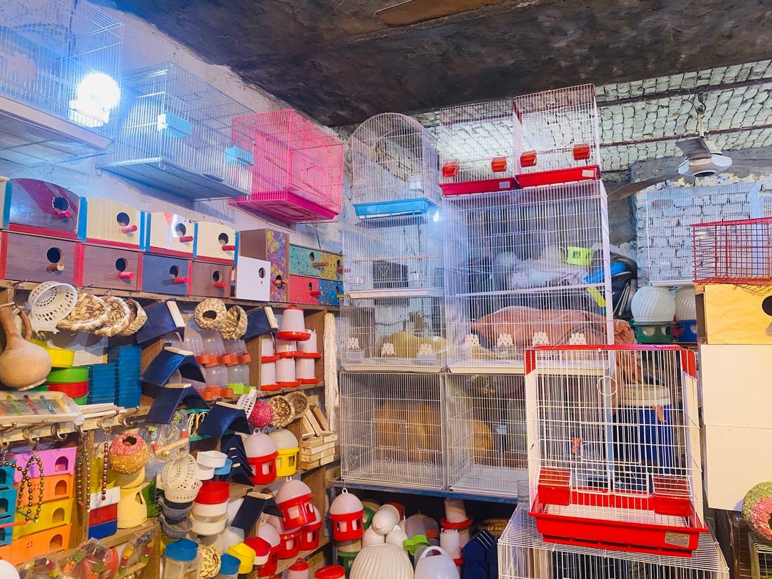 صور: حلَّ الخريف وبدأ موسم تزاوج البلابل.. سوق العمارة امتلأ بأقفاص سعف النخيل