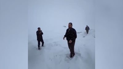 7 هاوڵاتی لە کوێستانێکی سیدەکان گیریان خواردووە