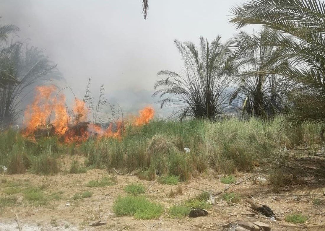 صور من الوركاء: احتراق 400 نخلة في لحظة.. محاولات ثلاثة فرق إطفاء بلا جدوى