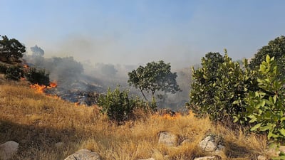 ئاگر واز لە ئاغجەلەر ناهێنێت