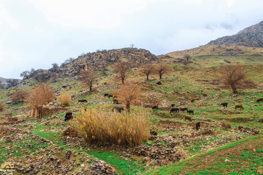 گوندەكانی یاڵانپێ و هانەیقوڵ ئاوەڕۆیان دەوێت