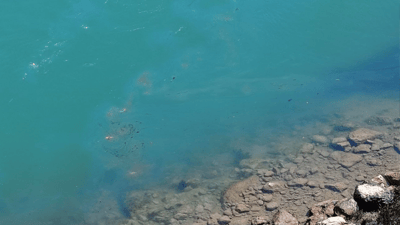 حەوت رۆژە زێی دوکان لە نەوتە رەشەکە پاک نەبوەتەوە