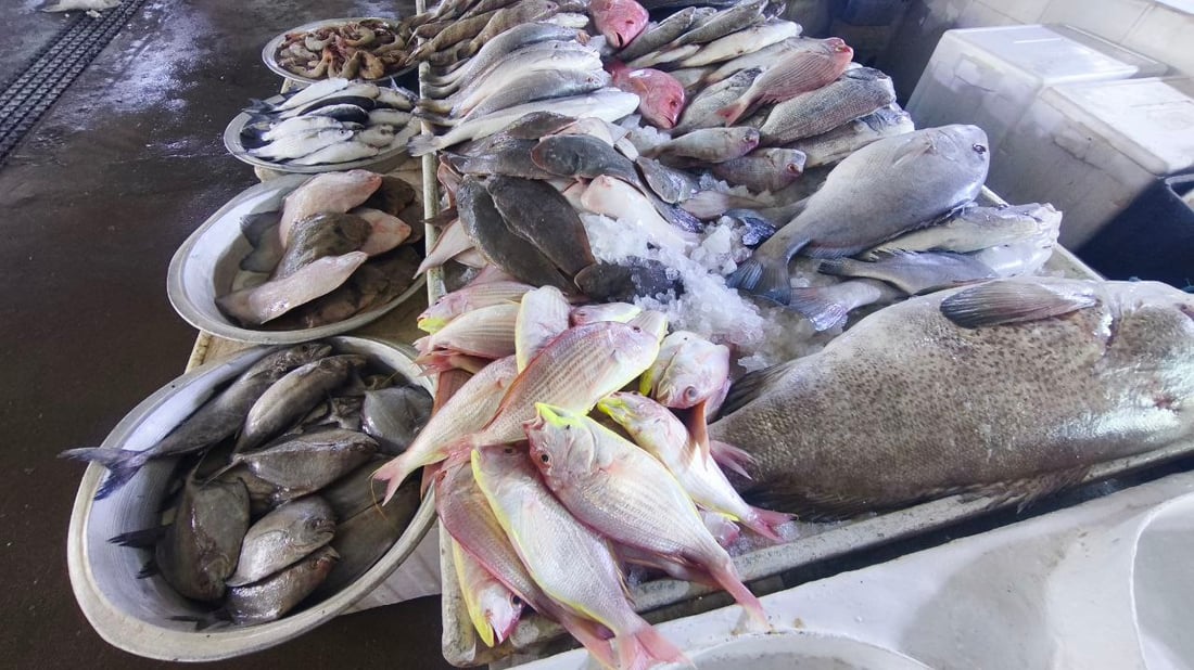 البرد يدفن الأسماك في قاع البحر.. صيادو الفاو يترقبون الدفء