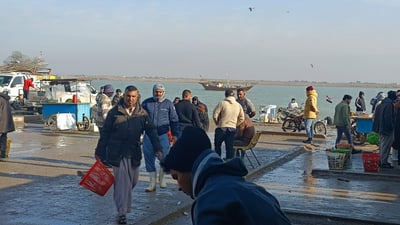 صور: “الإيراني” والأحوال الجوية يلهبان أسعار السمك في مزاد النقعة