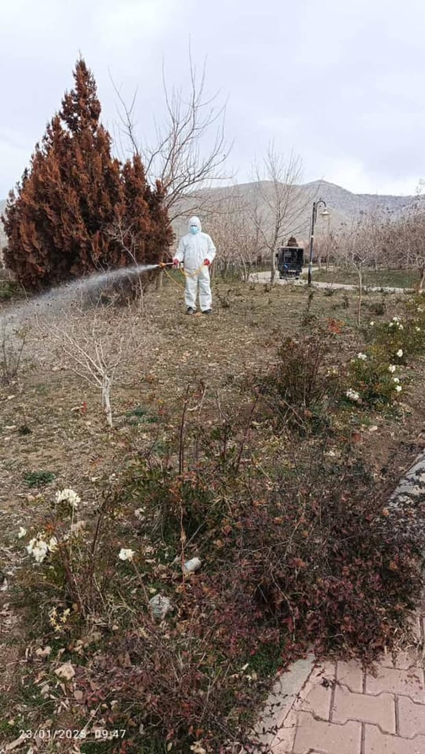 هەواری شار دژ بە گەرای کرمی حەفار دەرمانڕێژی پارکەکەی دەکات