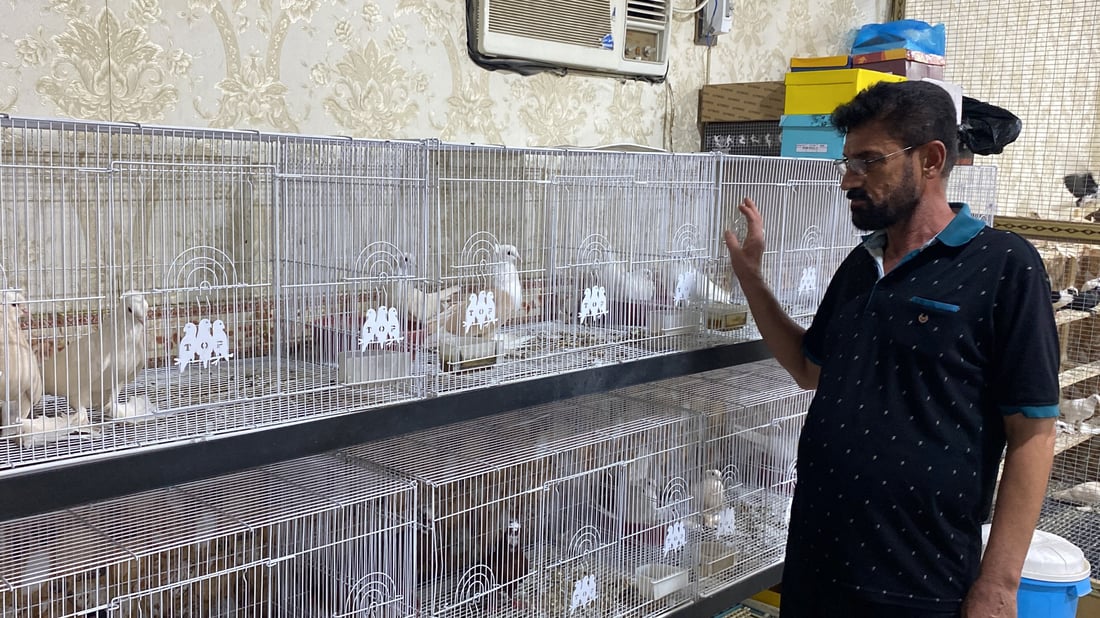 صور: الخبراء يعلمون الهواة أسرار “المطيرجية” في منتدى تراث الناصرية