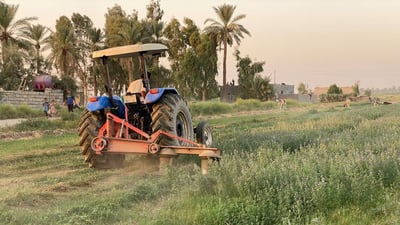 صور من مزارع أبو غريب.. اعتماد أكبر على المكائن وزيادة في البرسيم والذرة