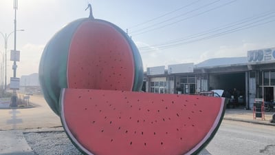    پەیکەری شووتی لە قەزای سەیدسادق دانرا و داوا دەكرێت بپارێزرێت