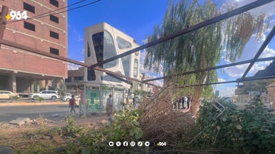 نەمامگەیەکی 30 ساڵە بە شۆفڵ رووخێندرا