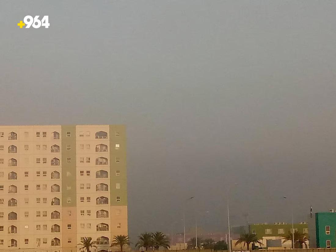 964mediaصورة من منصة (شبكة): 