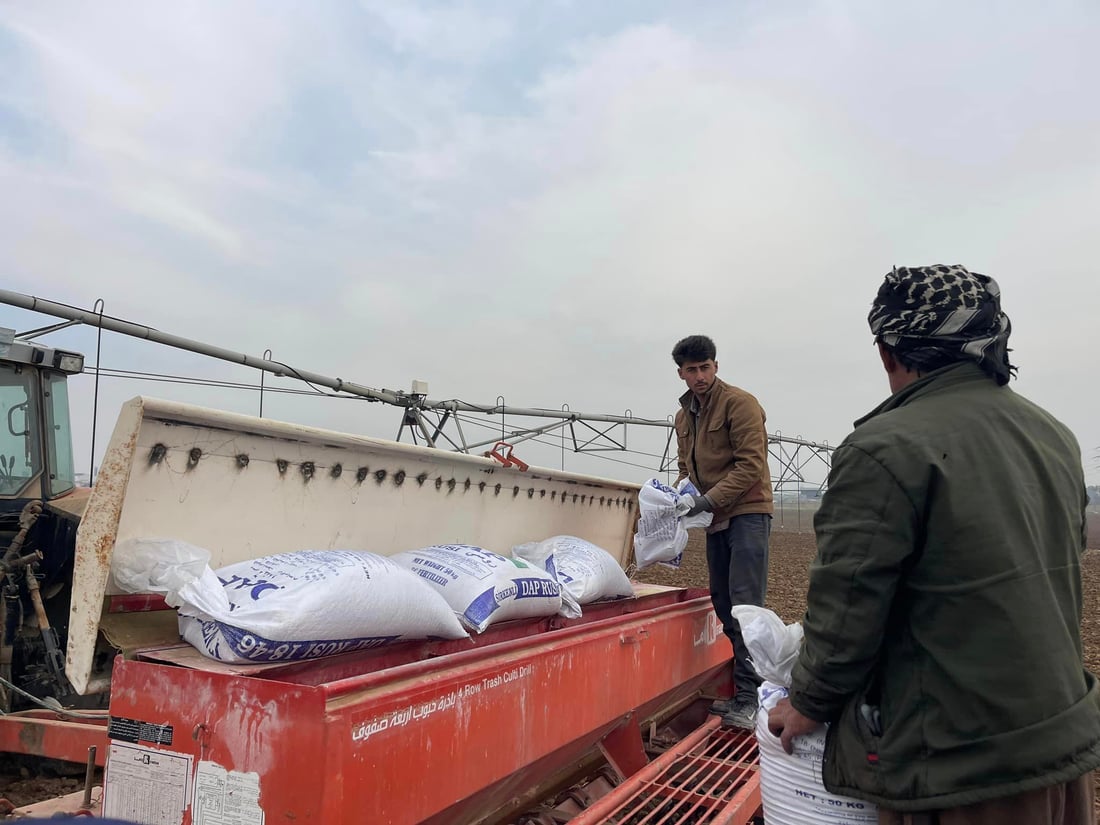 له‌سنوورى هه‌ولێر هه‌شت جۆر گه‌نم و جۆ ده‌چێندرێت