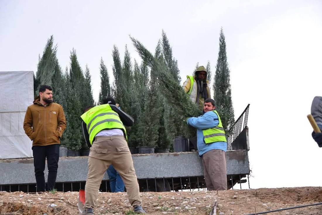 هەڵمەتێكی گەورەی دارچاندن لە هەولێر بەڕێوەیە