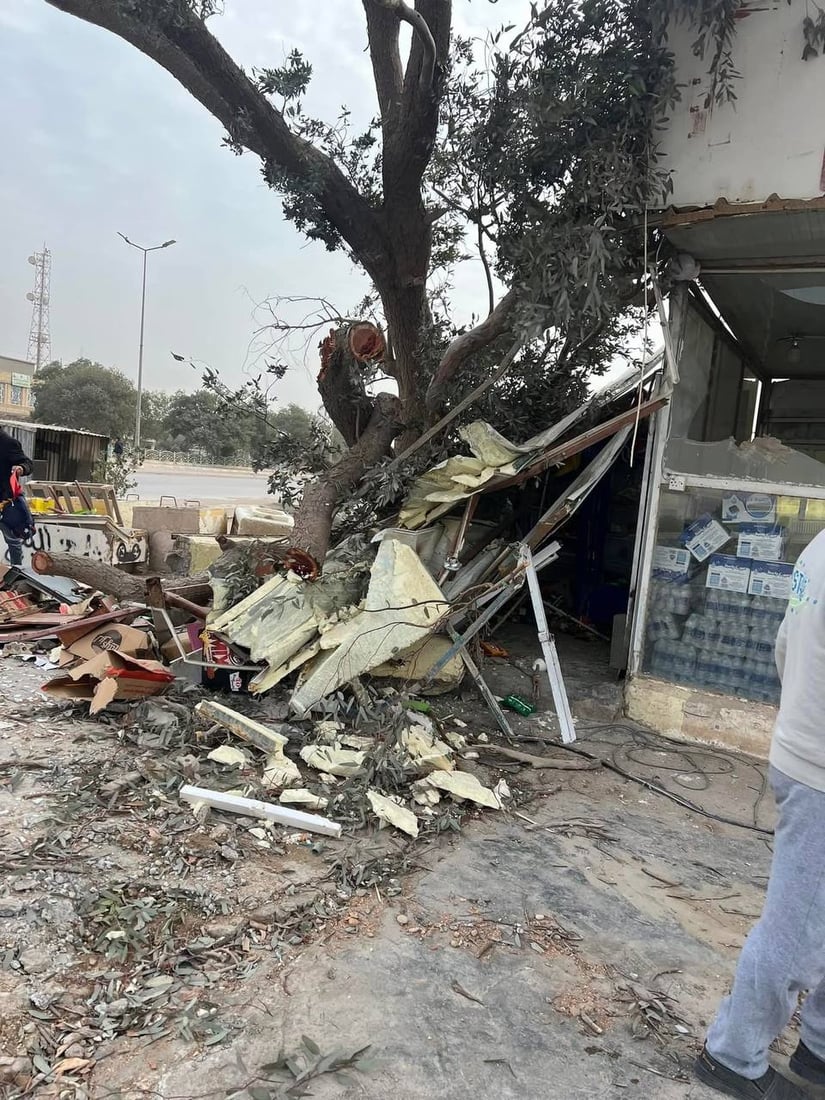 فيديو مؤلم: العواصف تقتلع شجرة معمرة وتودي بحياة فتى كان يجلس في كشك بالدبوني