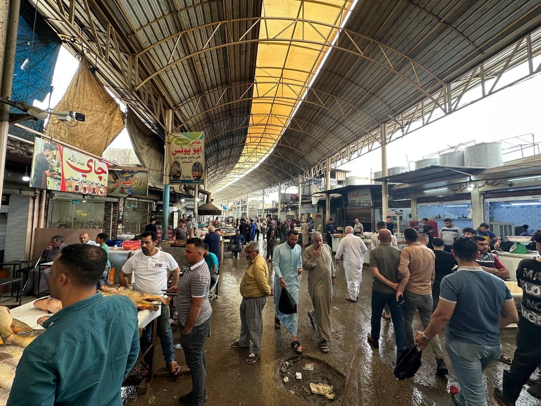 صور: أسماك المحافظات لم تصل الى سوق الميدان في الموصل.. والسعر ارتفع قليلاً