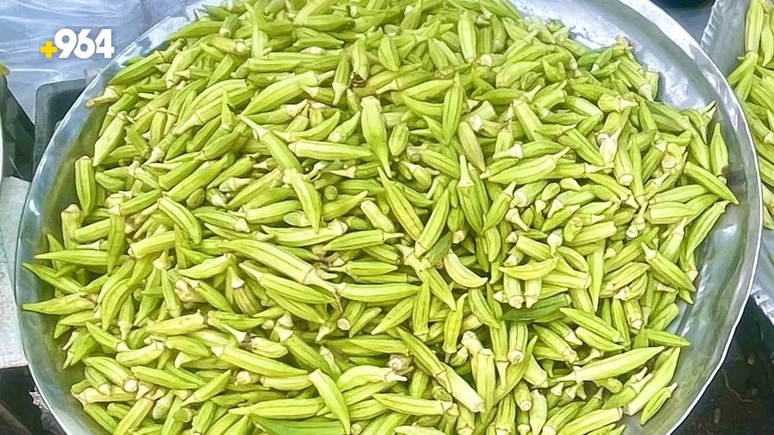 صور: موسم “باميا سهيل” بدأ في البصرة والزبائن تذوقوا القطفة الأولى