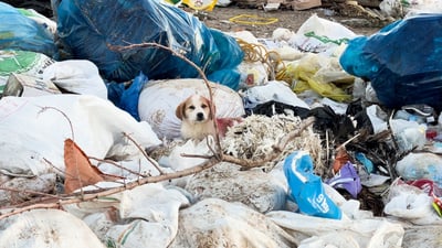 ئاميرەکانیان شکاوە و ناتوانن خۆڵ کۆبکەنەوە