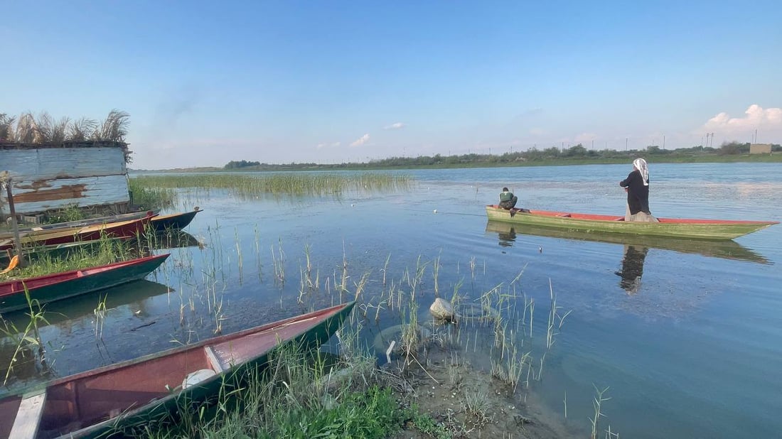 أسماك الخليج تمتنع عن دخول دجلة.. الأخطاء خربت المياه و4 فقط يحرسون أنهار البصرة