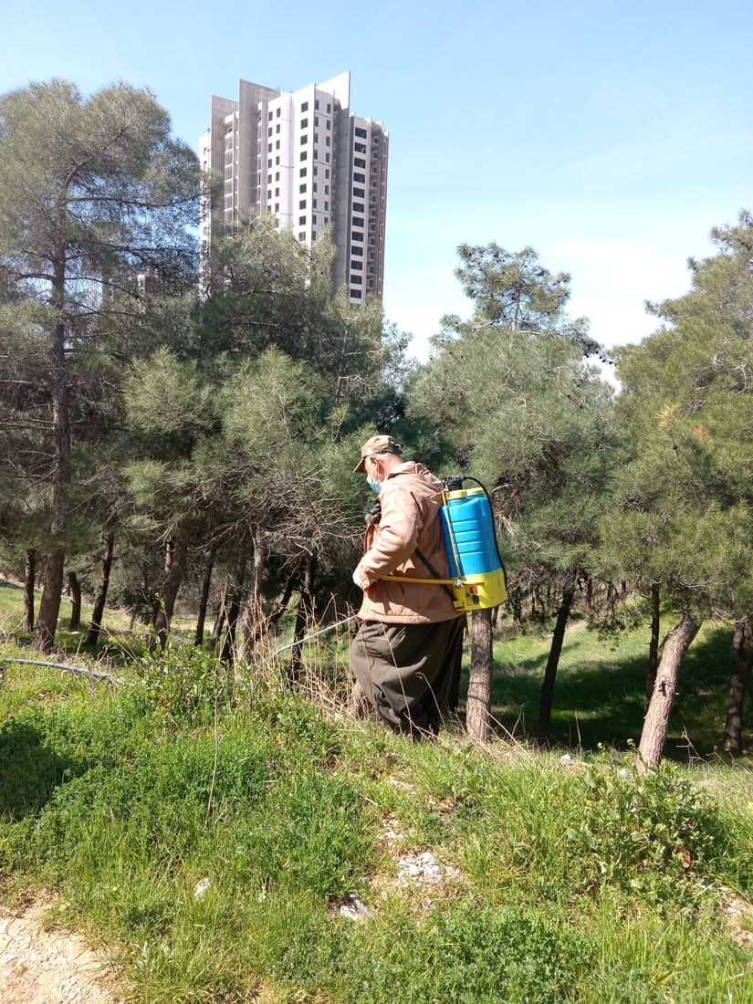 شاخى گۆیژه‌ ده‌رمانڕێژ كرا بۆ رێگرى كردن له‌ ئاگركه‌وتنه‌وه‌