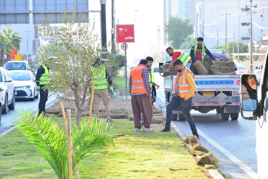 قۆناغی دووەمی چاندنی فریزی فەرش لە دورگەی ناوەندی شەقامی کەرکووک دەستیپێکرد