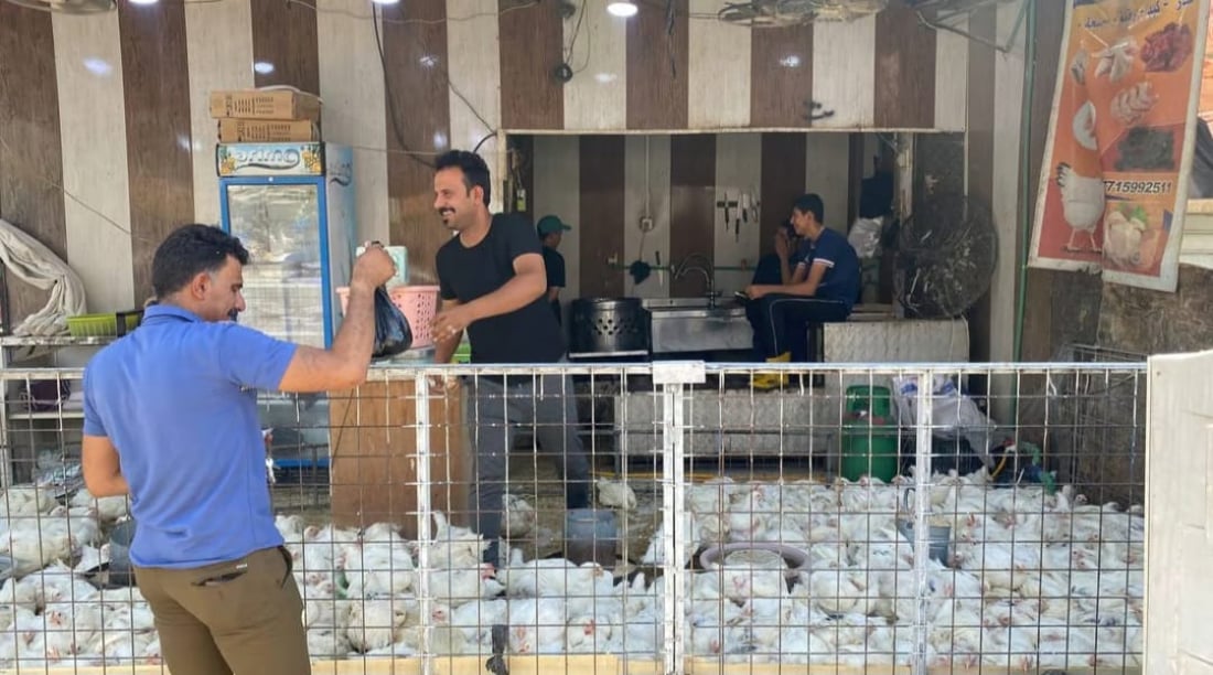 Poultry prices soar in Basra amid scorching summer heat