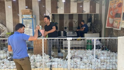 Poultry prices soar in Basra amid scorching summer heat