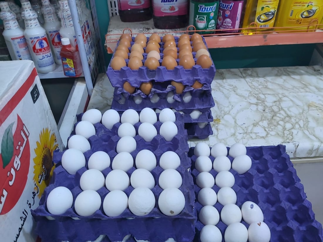 أسعار البيض ترتفع 15% في الرمادي.. على وقع سعر الصرف وأسباب أخرى