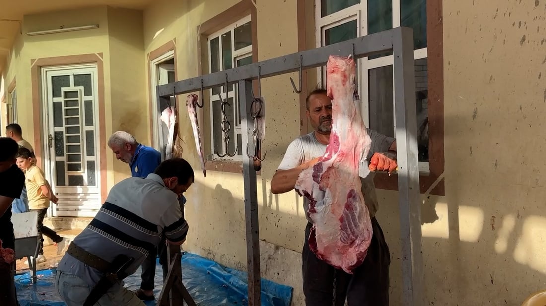 صور: 55 عجلاً و40 كبشاً لفقراء الموصل.. مساهمة المتبرعين صبيحة عيد الأضحى