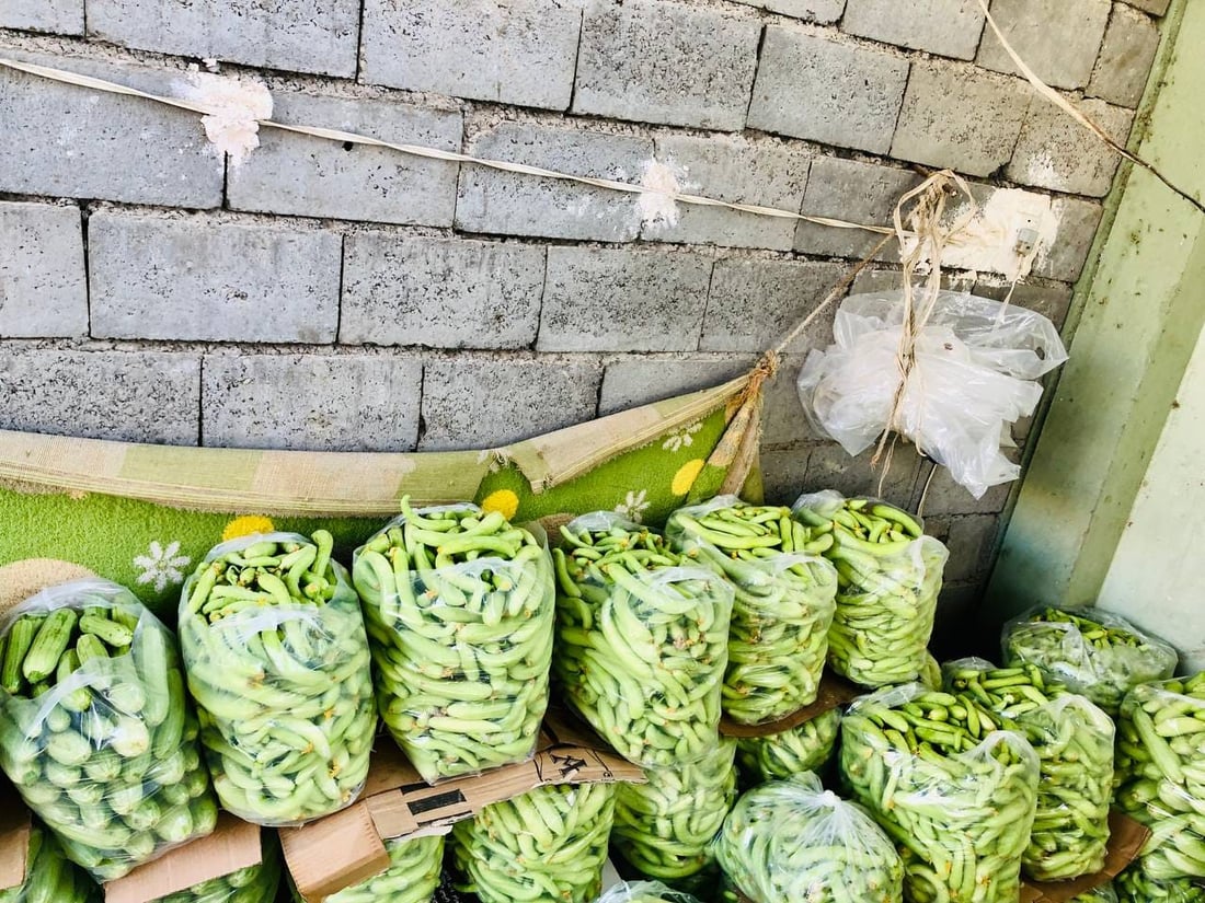 عه‌لوه‌ى ته‌قته‌ق پڕ له‌ به‌رهه‌مى خۆماڵى جوتیاران بووە