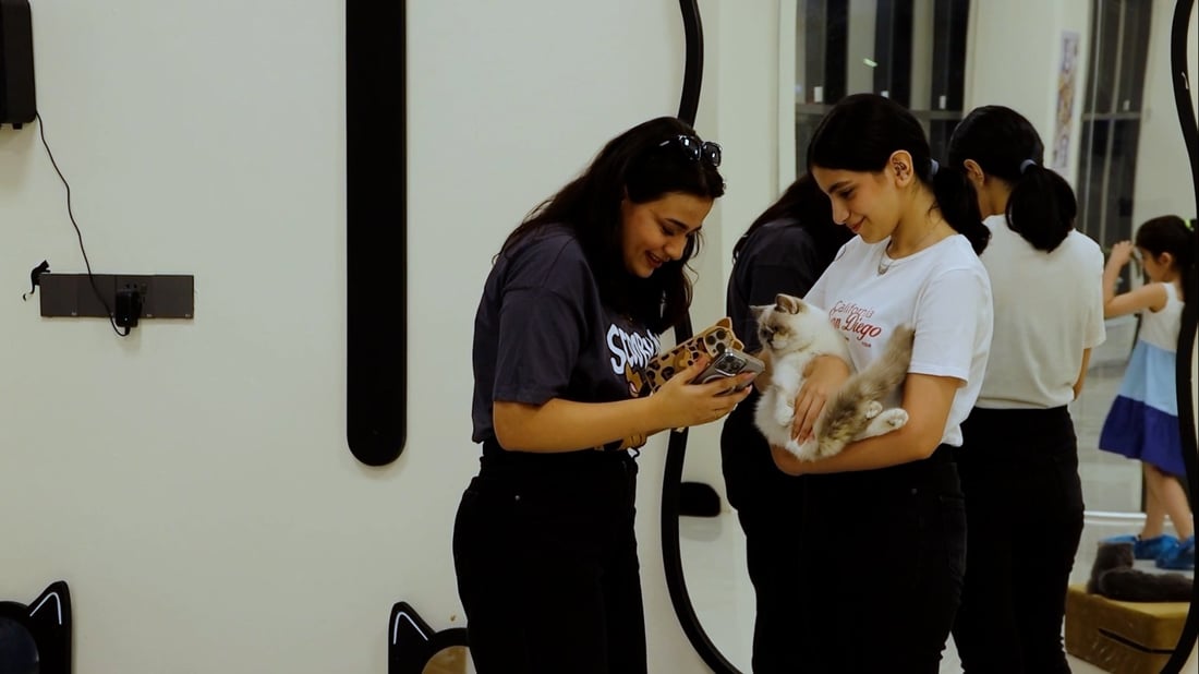 Cat café opens in Baqubah, offering safe space for pet lovers