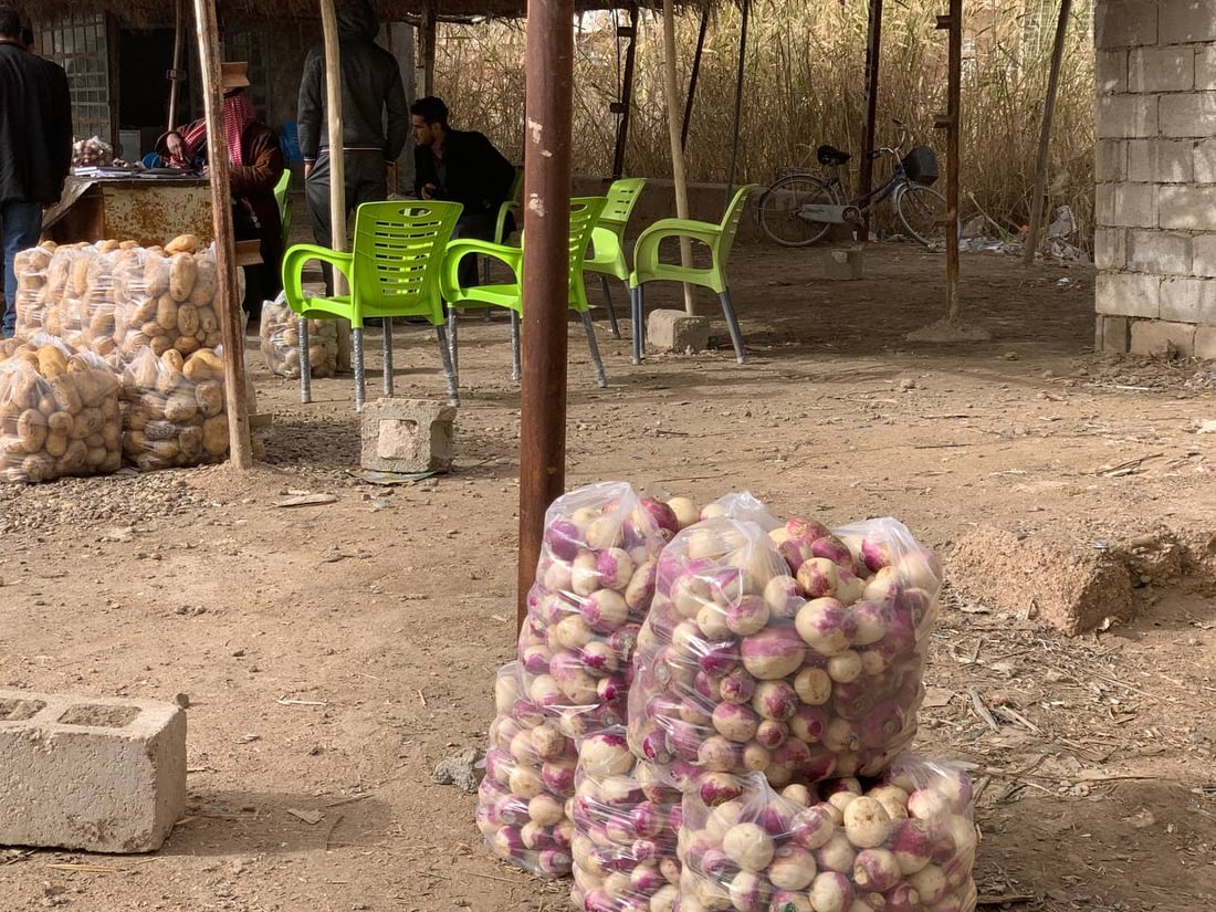 أبو غريب: انخفاض أسعار الشلغم إلى النصف.. والبطاطا أول الأسباب