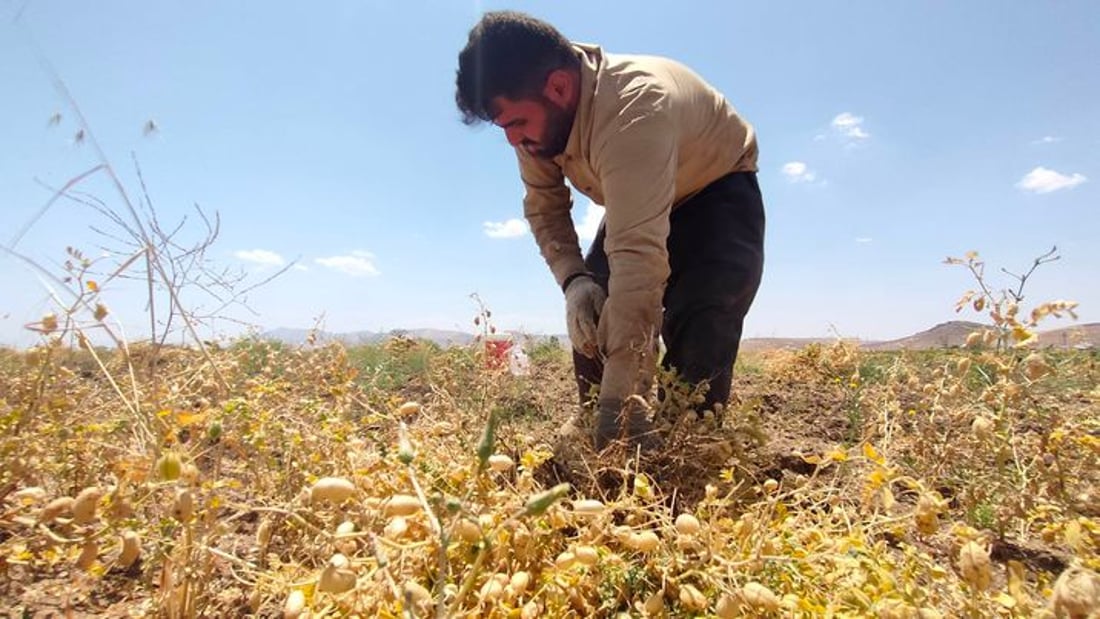 +964صورة من منصة (شبكة): 