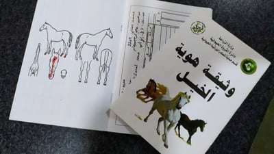 Equine register hopes to improve Iraq’s equestrian scene