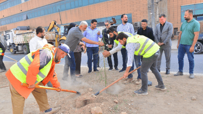 بە هەرکوێدا دەڕۆی شار سەوز دەکەن و دار دەچێنن 