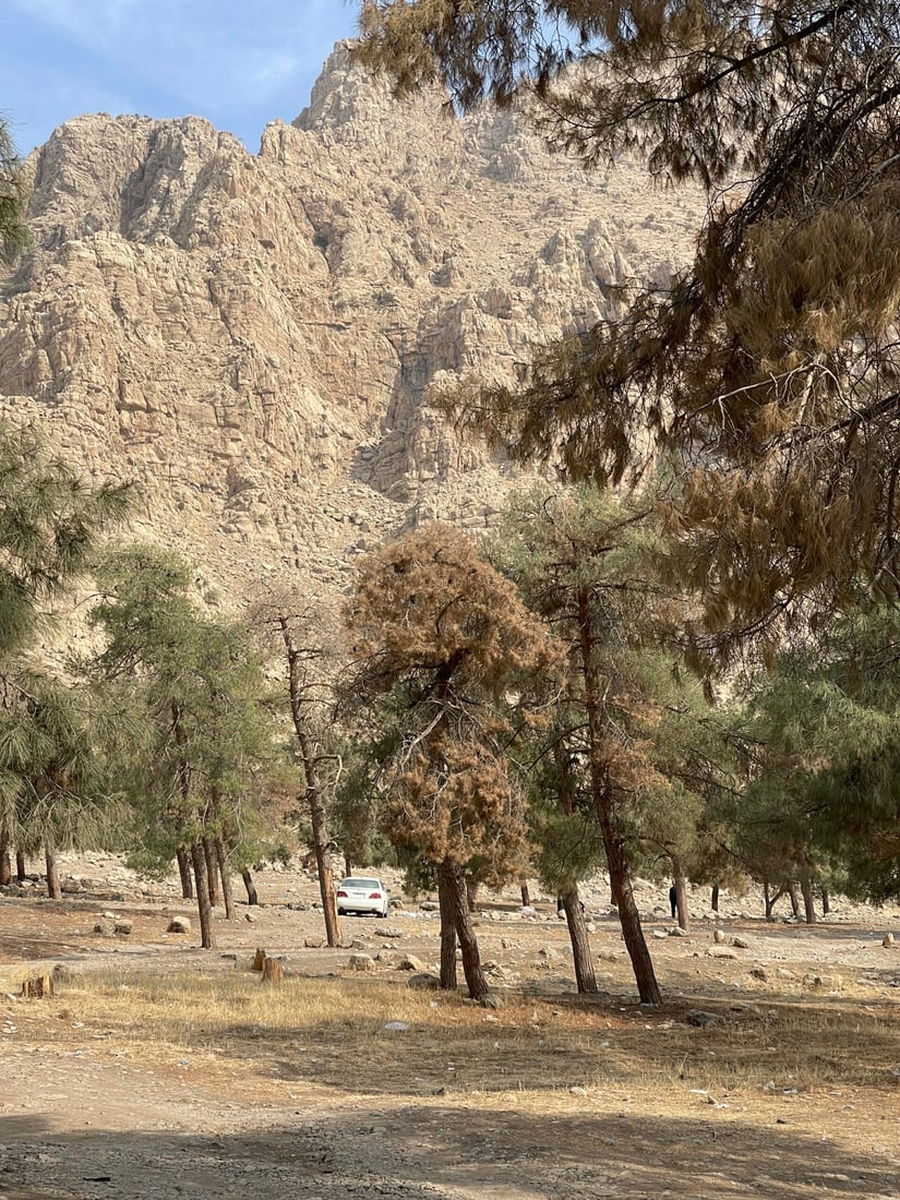 <?php echo get_the_title() ?>