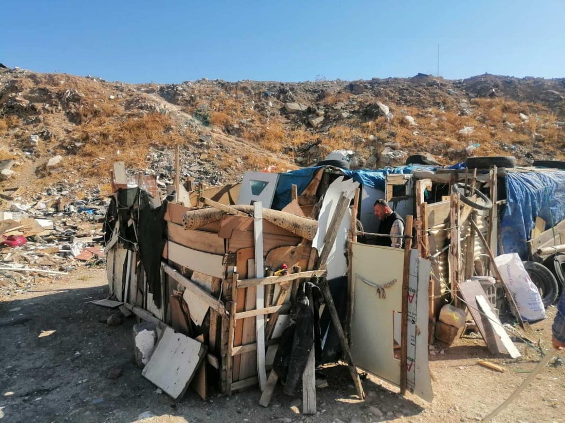 چەند گەوڕێک لە گەڕەکی کازیوەی سلێمانی لابران