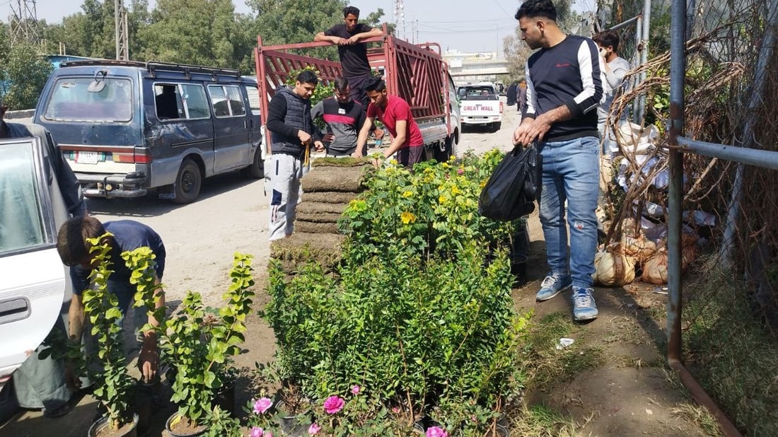 صور: ربيع بابل يجذب زبائن الجوري العراقي والأكاسيا والجهنمي