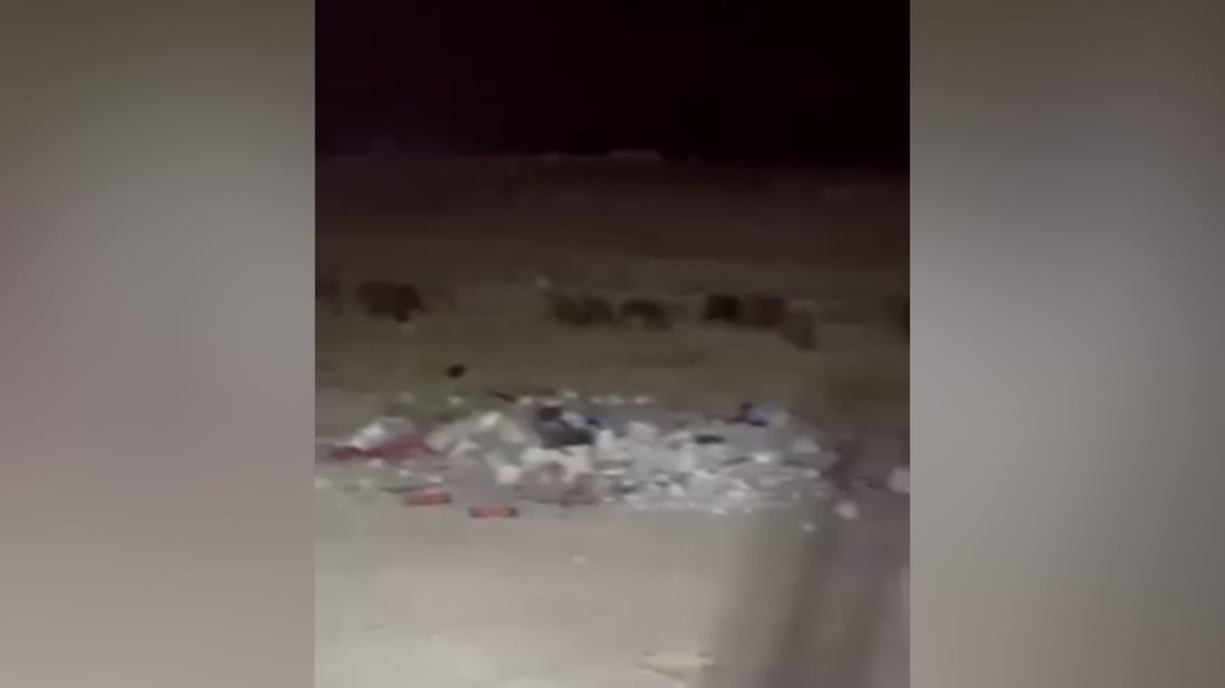 قلق في الرمادي بعد رصد أعداد كبيرة من الخنازير البرية ليلاً (فيديو)