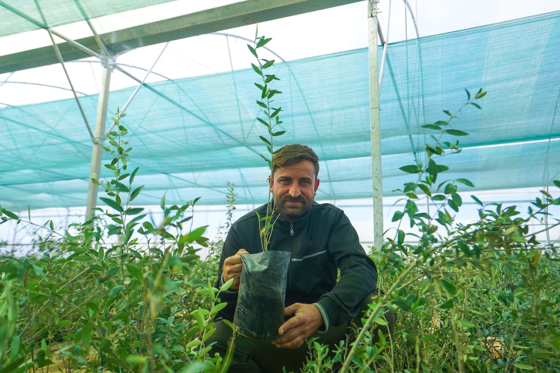 نەتەوە یەکگرتووەکان  10 هه‌زار نه‌مامى به‌سه‌ر 100 جوتیار دابه‌شكرد