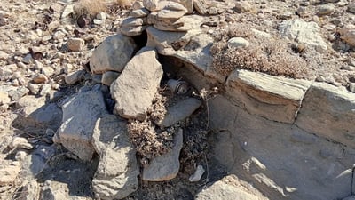 Demining teams clear 34 mines in Choman and Koya districts