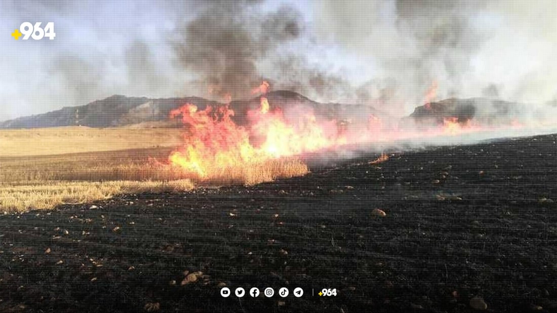 سلێمانی.. چوار کەس بە تۆمەتی سووتاندنی پووش و پاوان دەستگیرکران