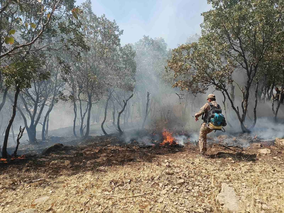 20 دۆنم دارستان و پوش و پاوان و رەز و باخى هاوڵاتیانى گوندى باراو سووتا