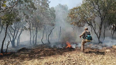 20 دۆنم دارستان و پوش و پاوان و رەز و باخى هاوڵاتیانى گوندى باراو سووتا