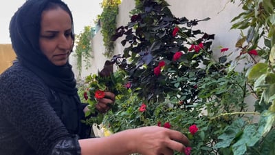 صاروخ تركي خاطئ قبل 5 سنين.. قتل إخوة “زكية” لكنه غيّر حياتها إلى الأبد (فيديو)