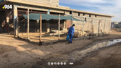 لە کەلار مێروو و مێشوولە زیانبەخشەکان لەناودەبرێن