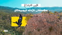 قۆپی قەرەداغ.. بەهەشتی ئاژەڵە کێوییەکان