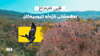 قۆپی قەرەداغ.. بەهەشتی ئاژەڵە کێوییەکان