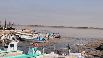 مشاهد من مرسى النقعة.. الأجواء معتدلة والصيد “خير من الله”