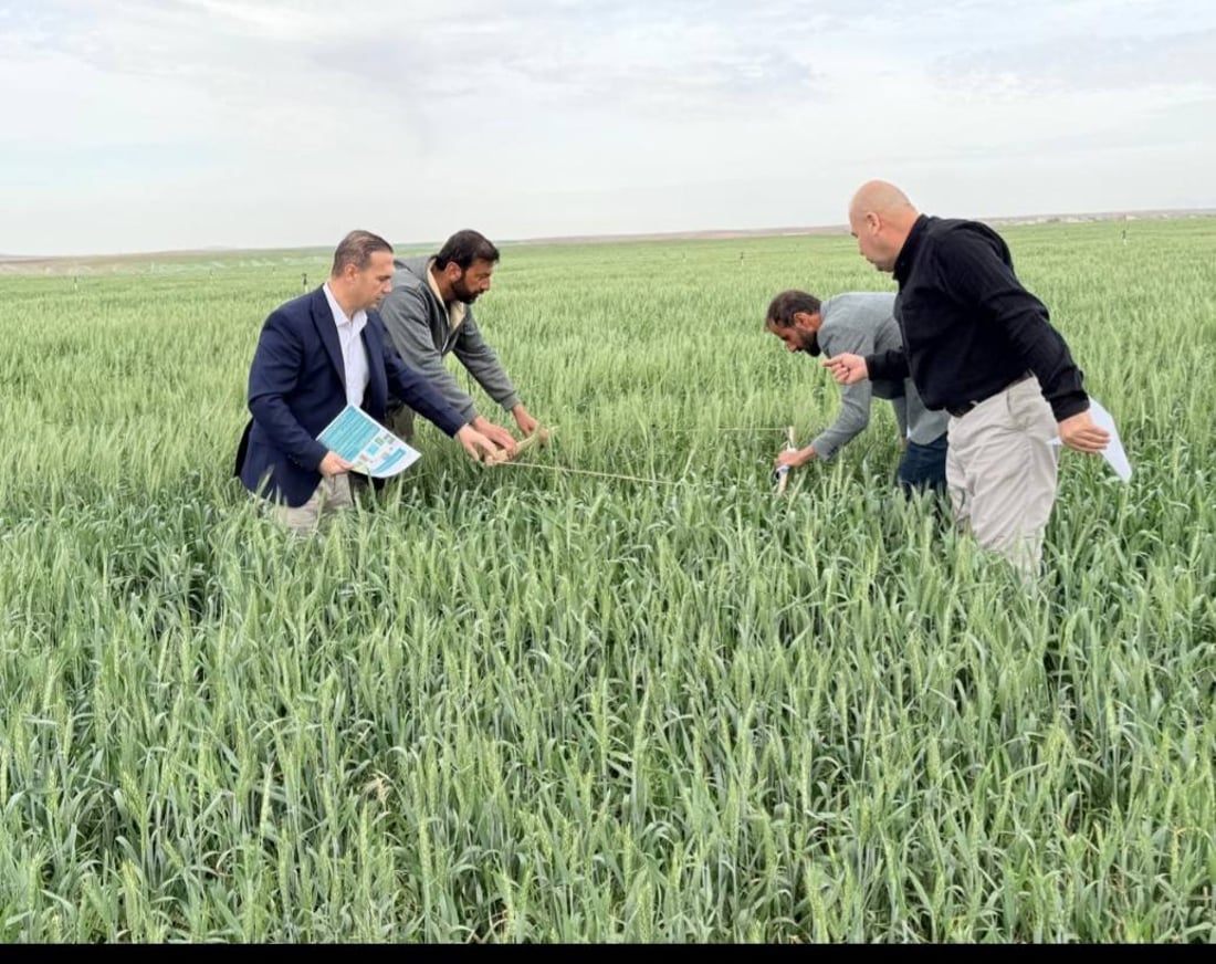 300 جوتیاری دهۆک به‌شدارى خولى جۆراوجۆرى كشتوكاڵیان پێكرا